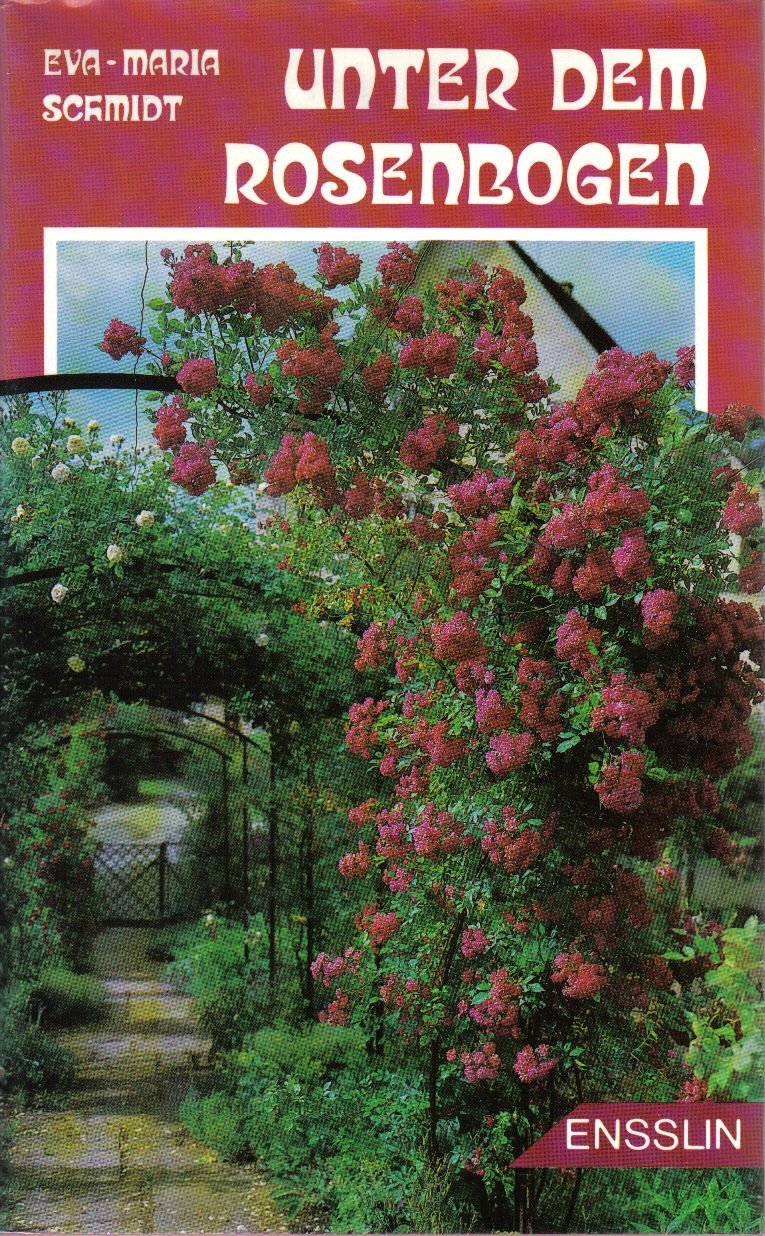 Unter dem Rosenbogen.