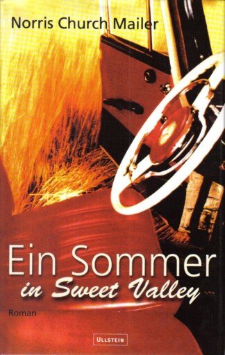 Ein Sommer in Sweet Valley.