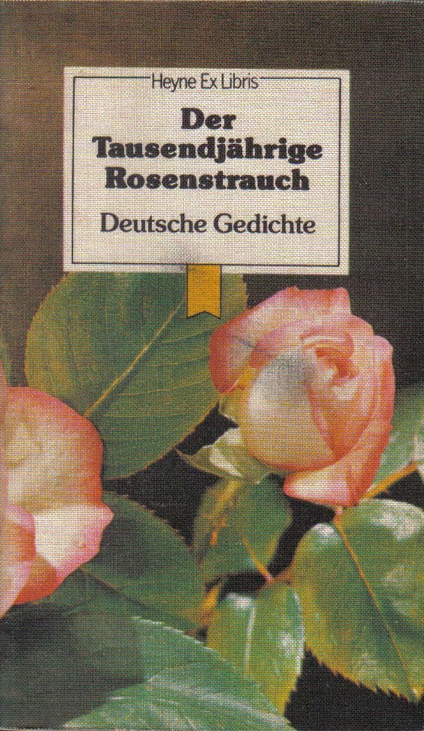 Der Tausendjährige Rosenstrauch