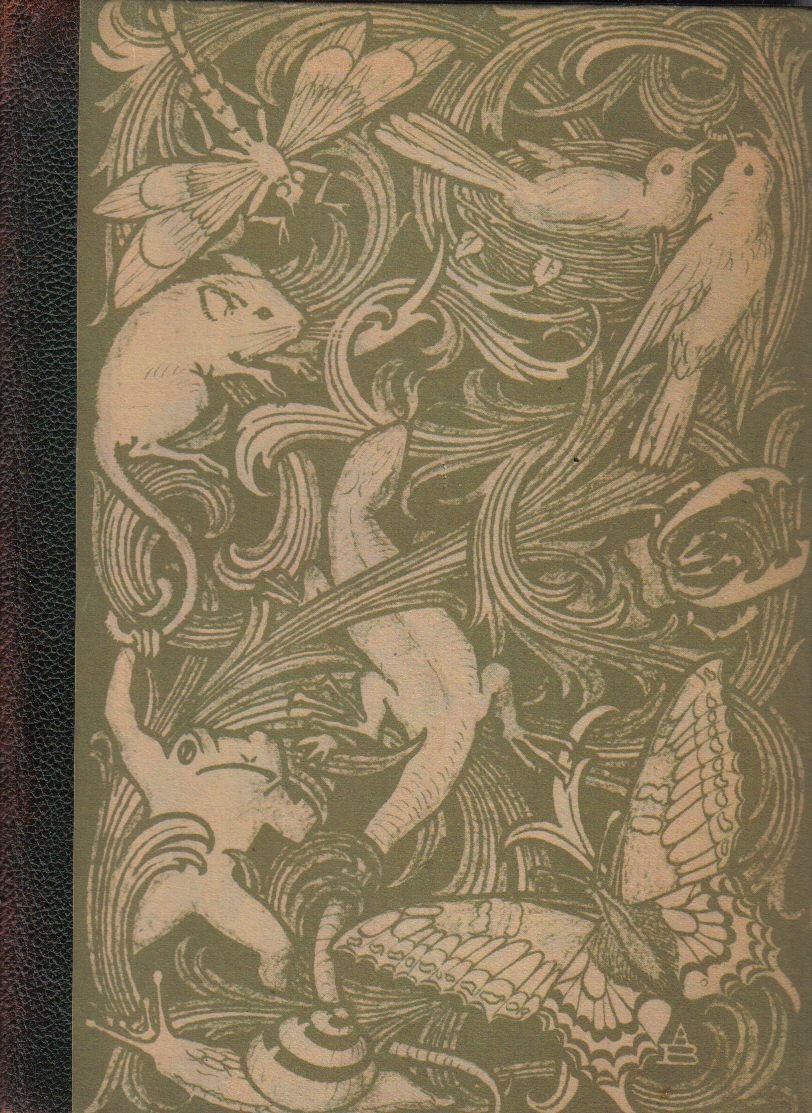 Der Zauber des Tierlebens